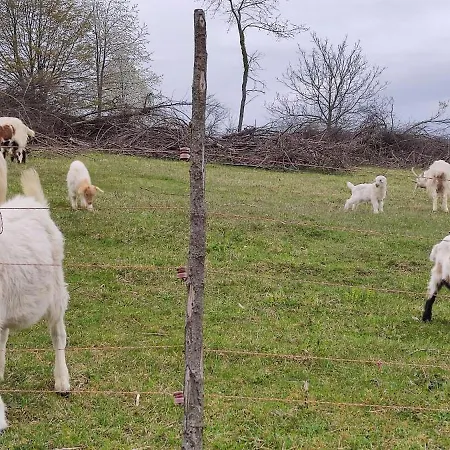 Appartement Singer *